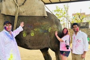 7-daagse privétour door de Gouden Driehoek met Holi-festival 2026