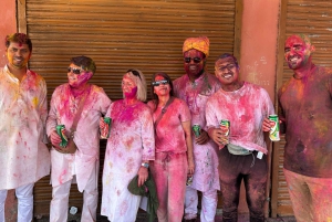 7-daagse privétour door de Gouden Driehoek met Holi-festival 2026