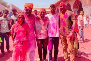 7-daagse privétour door de Gouden Driehoek met Holi-festival 2026