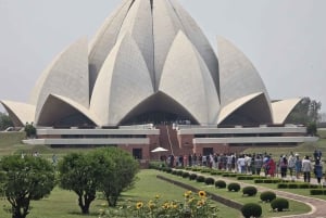 Excursão de 8 dias ao Triângulo Dourado com Ranthambore e Jhalana Safari