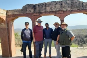 Excursão de 8 dias ao Triângulo Dourado com Ranthambore e Jhalana Safari