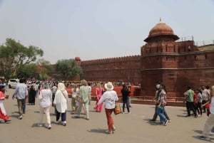 Excursão de 8 dias ao Triângulo Dourado com Ranthambore e Jhalana Safari