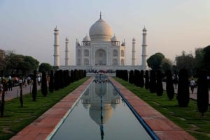 Excursão de 8 dias ao Triângulo Dourado com Ranthambore e Jhalana Safari