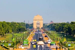 8 días TRIÁNGULO DE ORO CON RANTHAMBORE SAFARI DE FAUNA SILVESTRE