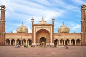 9-dagars tur till Gyllene triangeln och Udaipur med Holi-firande