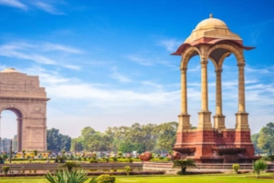 9-dagars tur till Gyllene triangeln och Udaipur med Holi-firande