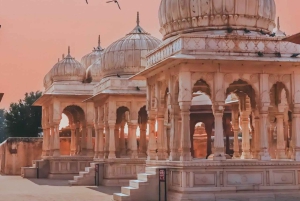 9-daagse privéreis: de culturele parels van Mumbai en Rajasthan