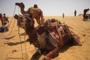 9 Tage Rajasthan Tour: Jaipur, Jodhpur, Jaisalmer & Udaipur
