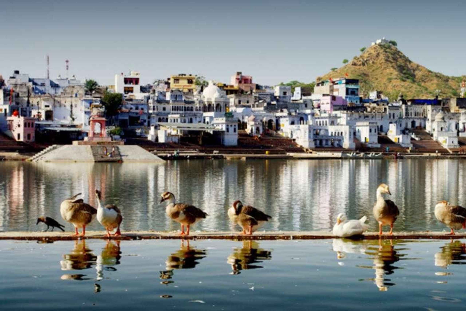 A Day Trip of Pushkar From Jaipur