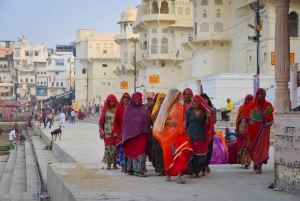 Excursión de un día a Pushkar desde Jaipur