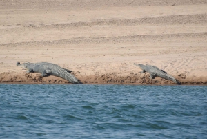 Agra, Jaipur & Chambal Wildlife safari 6D/5N