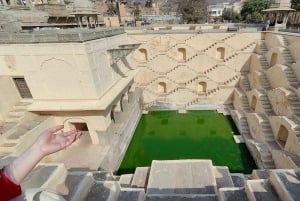 Agra : excursion à Jaipur avec le fort d'Amber et le puits à escaliers