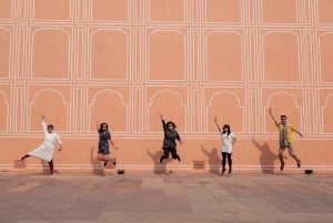 Agra : excursion à Jaipur avec le fort d'Amber et le puits à escaliers