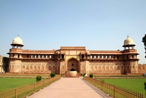 Agra : Taj Mahal, Fort d'Agra et Fatehpur Sikri - Circuit d'une journée en voiture