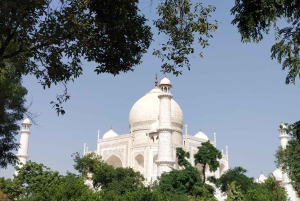 Agra: Taj Mahalin opastettu kierros valokuvaajan ja vuokrasareen kanssa