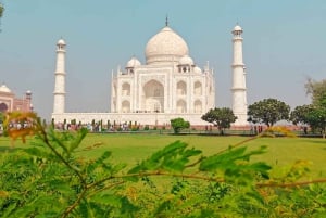 Agra : visite coupe-file du Taj Mahal et du mausolée avec options