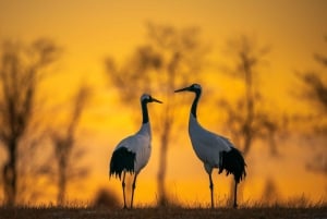 Agra to Jaipur one way transfer with Keoladeo Birds Park