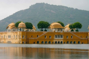 Delhi Agra Jaipur Triángulo de Oro Viaje de varios días con Safari