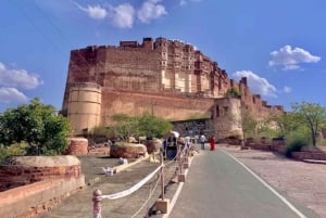 All-in dagtour door Jodhpur met tickets