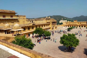 Passeio turístico de dia inteiro em Jodhpur com tudo incluído e bilhete