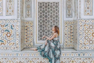 Taj Mahal and Agra Private Tour with free Airport pickup