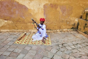 Amber fort Skip-the-Line E-tickets & guide Jaipur transfers