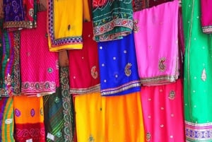 Visite d'une demi-journée : fort d'Amber, Jal Mahal et puits à Jaipur