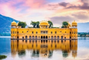 Visite d'une demi-journée : fort d'Amber, Jal Mahal et puits à Jaipur