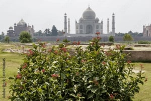 Bangalore: 3-dagers Golden Triangle-tur (Delhi, Agra og Jaipur)