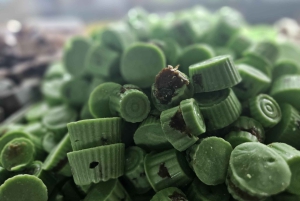 Best Food Tour in Jaipur