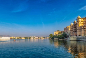 City Palace: Vintage Car Museum & Crystal Gallery Half-Day