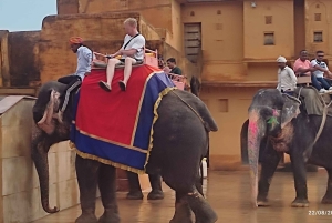 Excursion d'une journée à Jaipur depuis Delhi par l'autoroute