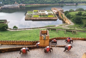 Excursion d'une journée à Jaipur depuis Delhi par l'autoroute
