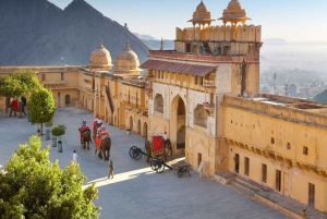 Delhi: Tour particular de 2 dias em Agra e Jaipur