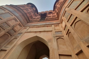 Delhi: Excursão de 2 dias a Agra e Jaipur com Elephant SOS e hotel 5 estrelas