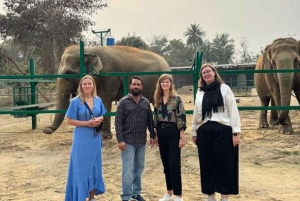 Delhi: Excursão de 2 dias a Agra e Jaipur com Elephant SOS e hotel 5 estrelas