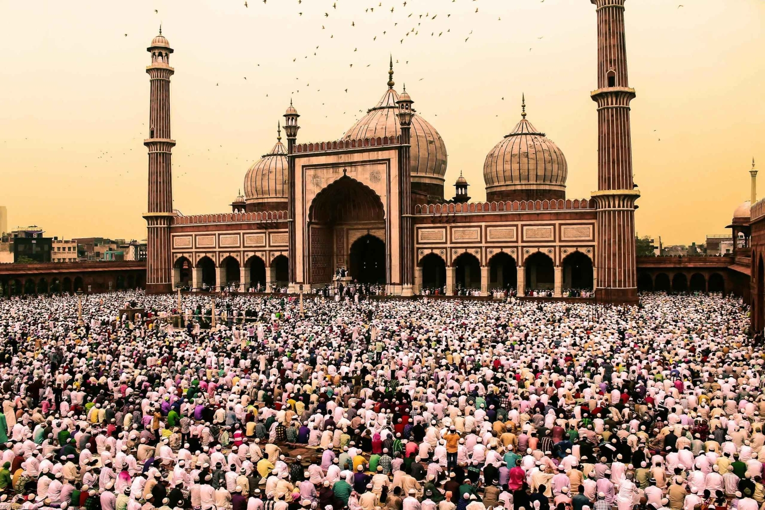 Deli: excursão de 3 dias pelo Triângulo Dourado com visita ao Elephant SOS