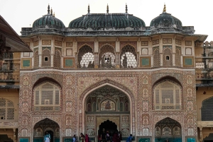 Deli: excursão de 3 dias pelo Triângulo Dourado com visita ao Elephant SOS