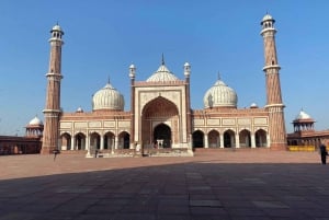 Delhi, Agra y Jaipur: tour privado de lujo de 3 días por el Triángulo de Oro