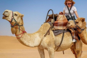 Delhi: 3-dagers Pushkar- og Jaipur-tur med yogasession