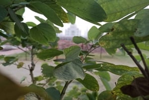 Delhi: 4 Daagse Delhi Agra Jaipur meerdaagse tour met gids