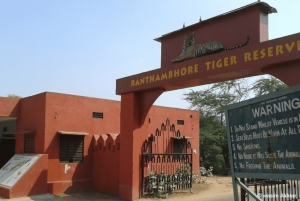 Delhi: 5 päivää Ranthambhore-tiikerisafaria ja Agra, Jaipur-retki
