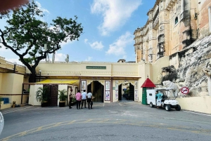 Delhi: 8-tägige Goldenes Dreieck mit Udaipur & Ranthambore Tour