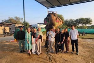 Delhi – Agra – Jaipur 3-dagars tur