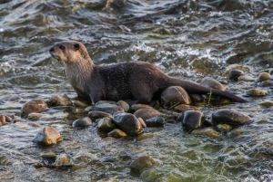 Золотой треугольник: Дели, Агра, Джайпур. Многодневное путешествие с сафари.