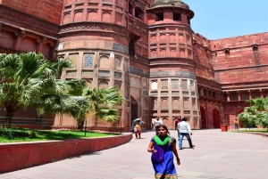 Золотой треугольник: Дели, Агра, Джайпур. Многодневное путешествие с сафари.