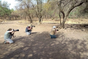 Золотой треугольник: Дели, Агра, Джайпур. Многодневное путешествие с сафари.