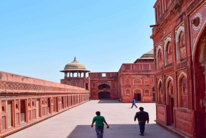 Золотой треугольник: Дели, Агра, Джайпур. Многодневное путешествие с сафари.