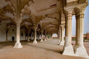 Золотой треугольник: Дели, Агра, Джайпур. Многодневное путешествие с сафари.