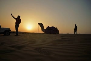 Delhi: Agra, Jaipur, Jodhpur & Pushkar 7-Day Tour